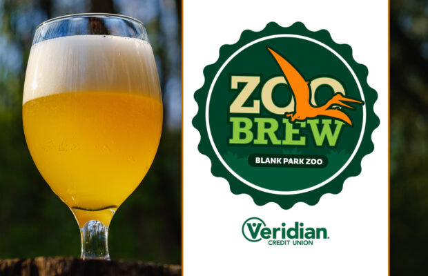 Zoo Brew