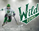 Iowa Wild Career Fair